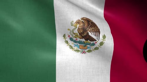 Waving Flag of Mexico with Realistic Fabric Texture