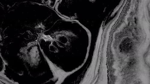 Abstract Black and White Swirling Ink Design