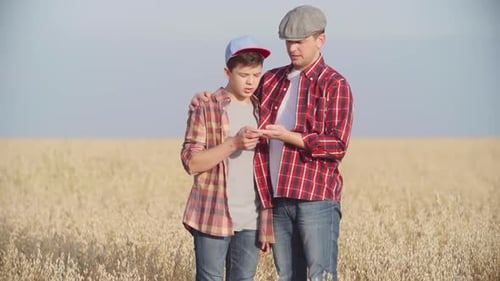 Father and Son in Wheat Field Discussing Harvest