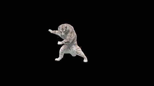Weißer Tiger tanzt HD