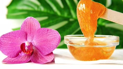 Sugar Paste or Wax Honey for Hair Removing Flows Down From Wooden Waxing Spatula Sticks Depilation