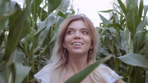 Woman Walking in a Lush Green Corn Field
