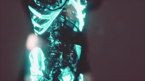 Human Body Skeleton Anatomy Scan