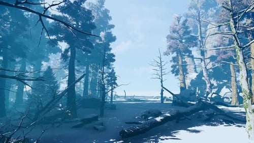 Bewegung im Winterwald