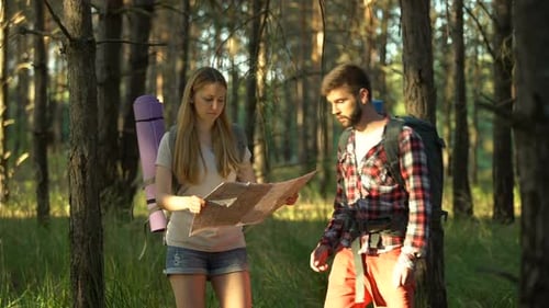 Couple Hiking Together in Sunny Forest Looking at Map