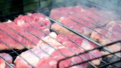 Grilling Meat on a Barbecue Grill Outdoors