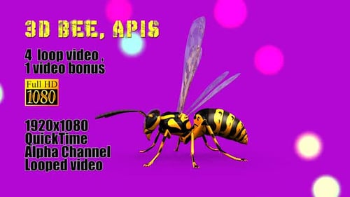 3D Animated Bee Loop and Swarm with Alpha Channel