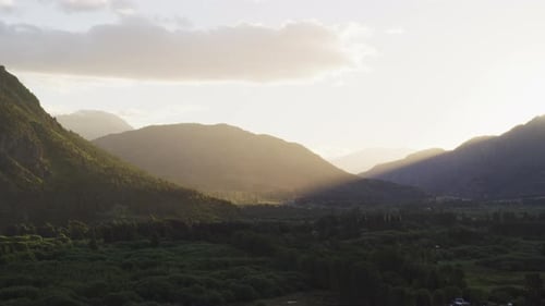Hills with Abundant Trees and Plants with Clear Skies in the Background
