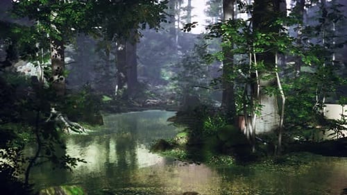 Sunrise with Sunbeams Through the Forest By the Lake