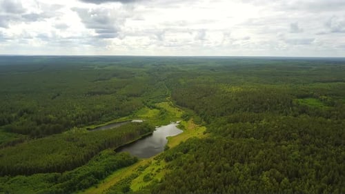 Country Forest Lake