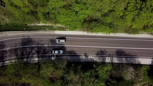 Luftaufnahme von der Drohne zur Straße in einem Pinienwald