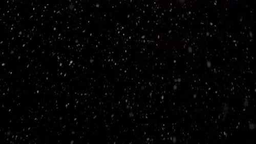Snow Falling on Black Background in Winter