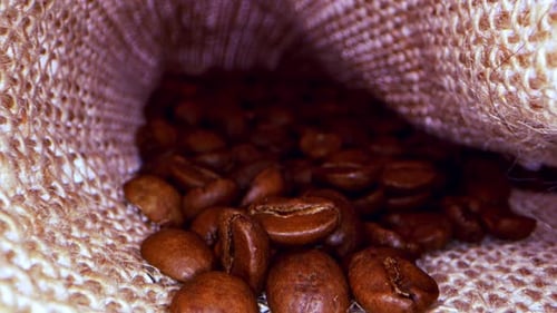 Roasted Coffee Beans Filling a Burlap Bag