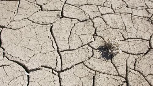 Walking over dry cracked soil from the mud drying in the Utah desert