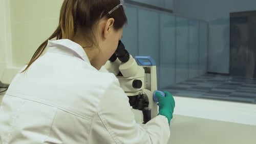 Biologin schaut ins Mikroskop