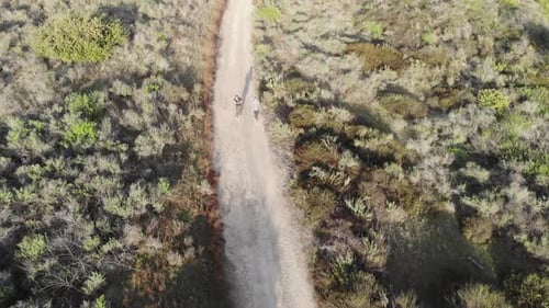 Couple Walking Along Remote Dirt Path Aerial View