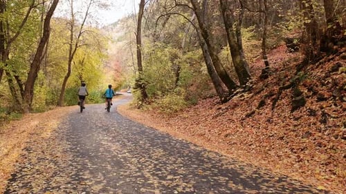 Moving down pathway through a forest during Fall colors with people biking