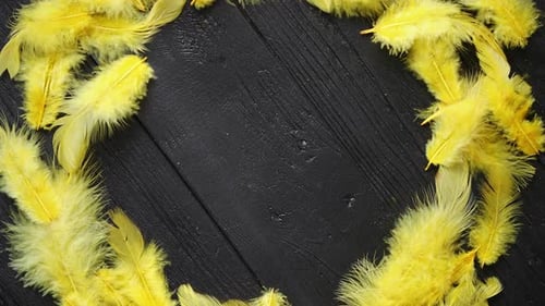 Colorful Decorative Easter Feather Wreath on Black Wooden Table Background