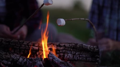 Roasting Marshmallows Over a Campfire at Night