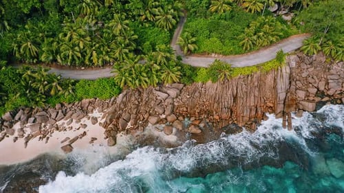 Aerial Drone Top Down Footage of Rocky Tropical Coastline with Ocean Waves and Palm Trees at Mahe