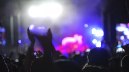 Energetic Crowd Enjoying a Night Concert