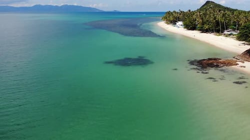 Grüner Dschungel und steiniger Strand in Meeresnähe. Tropischer Regenwald und Felsen in der Nähe von Calm Blue Sea on White