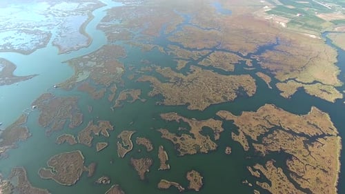 Aerial Delta Channels and Reeds