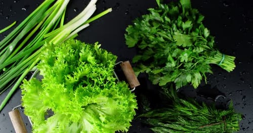 Vibrant Fresh Green Vegetables on Black Surface