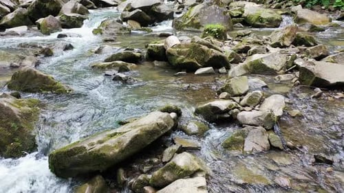 Mountain River Waterfall Flowing Between Rocky Shores in Carpathians Mountains Ukraine