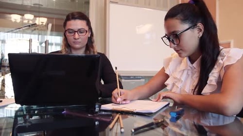 Two Business Women Working on a Business Project in an Office Sitting at a Table Using a Computer