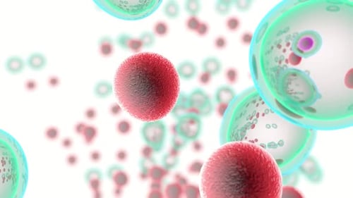 Animated Microscopic Cells Spreading Infection and Replication