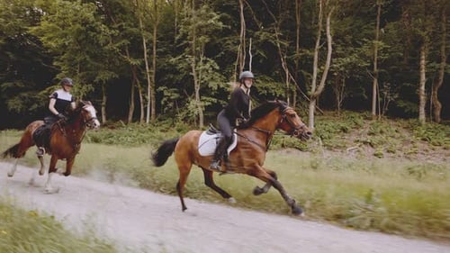 Two Female Equestrians Mounted in Nimble Majestic Horses By the Rich Forest