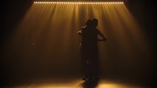 Ein Mann und eine Frau in eleganter Kleidung tanzen einen erstaunlichen argentinischen Tango. Eine Silhouette
