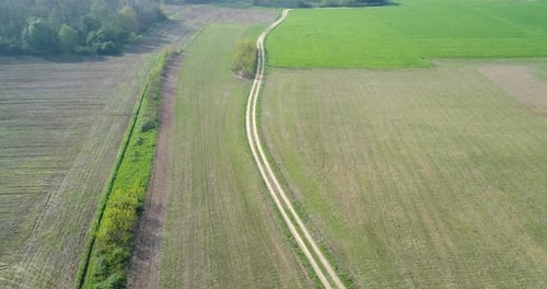 Moving Backward Over Green Fields and Gravel Paths in Summer Day