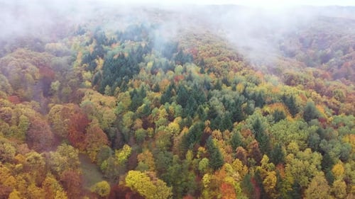 Wild Autumn Landscape With Clouds