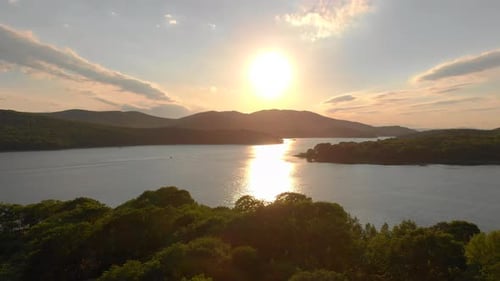 Aerial Shot - Drone Moves Over Trees and Sea Bay During the Sunset with Seaguls Nearby