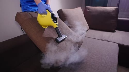 Steam Cleaning Sofa with Handheld Steamer