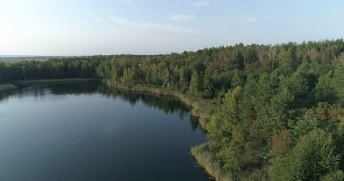 Lake In The Forest