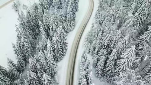 Route dans la forêt d'hiver, Route de campagne d'hiver avec forêt de sapins sur le côté