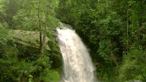 Tropical Waterfall Flowing Through Lush Green Forest