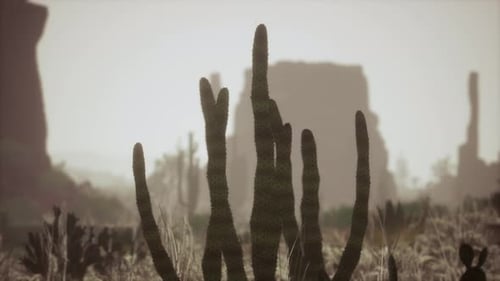 Rayo de luz solar que se dispara en el cielo del desierto