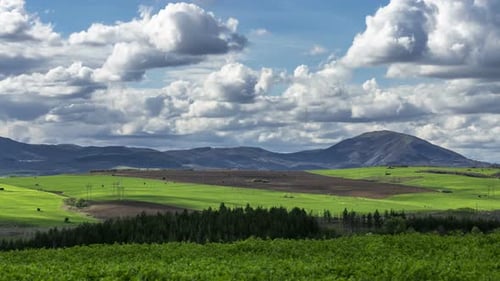 Scenic Green Fields and Mountains