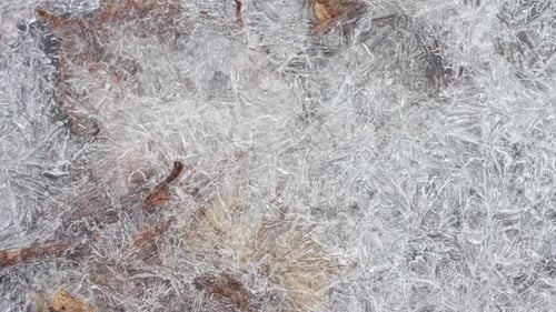 Macro Shot of Ice Crystals Over Frozen Leaves