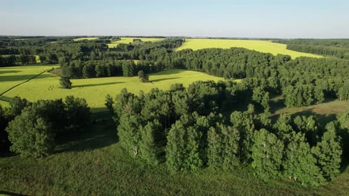 Asphalt Highway Road Among the Summer Field Under Blue Cloudy Sky