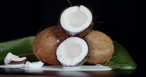 Coconuts with Spilled Coconut Milk Slowly Rotate.