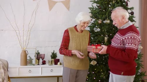 Senior Couple Exchanging Gifts by Christmas Tree
