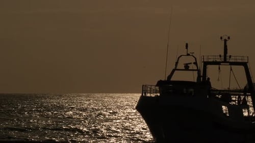 Barco pescador con gaviotas volando navegando