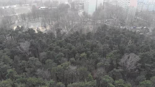 Aerial View of Forest Bordering Urban City Park