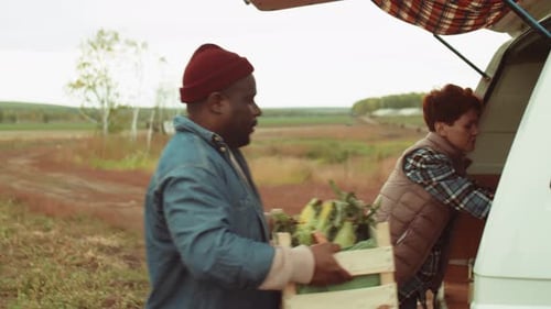 Diverse Farmers Loading Vegetables in Van after Harvesting Field