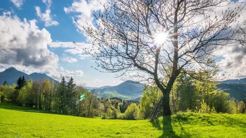 Naturlandschaft des frischen Frühlings